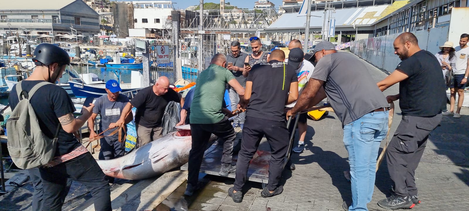 WhatsApp Image 2022-05-25 at 4.38.56 PM.jpeg